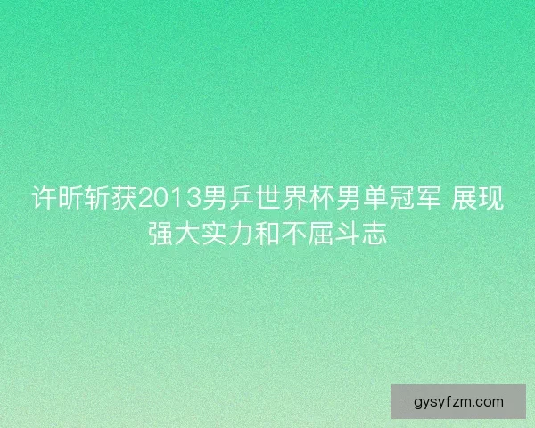 许昕斩获2013男乒世界杯男单冠军 展现强大实力和不屈斗志